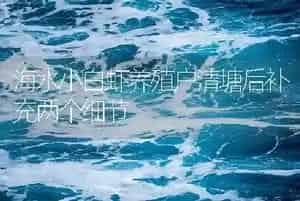 海水小白虾养殖户清塘后补充两个细节