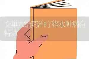 交巢穴给药治疗猪水肿病有特效