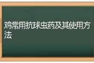 鸡常用抗球虫药及其使用方法