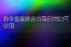 春季畜禽圈舍消毒药物如何使用