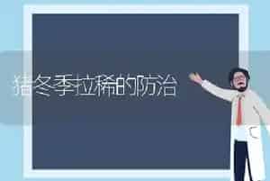 猪冬季拉稀的防治