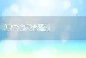 怎样给病猪灌药