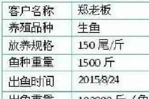 广东南海老手养过冬生鱼 亩利润1.5万料比1.4