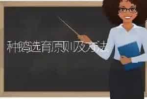种鹅选育原则及方法