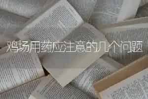 鸡场用药应注意的几个问题