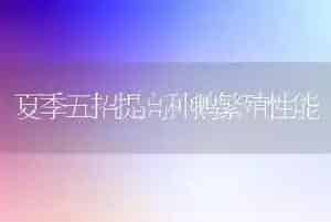 夏季五招提高种鹅繁殖性能