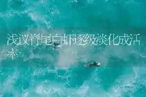浅议脊尾白虾逐级淡化成活率