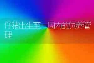 仔猪出生至一周内的饲养管理