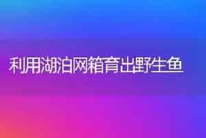 利用湖泊网箱育出野生鱼