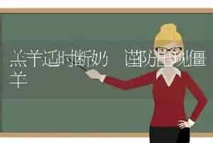 羔羊适时断奶 谨防出现僵羊