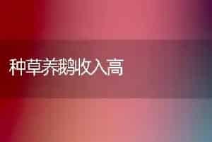 种草养鹅收入高