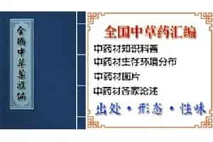 西藏羊耳兰的功效与作用_全国中草药汇编_西藏羊耳兰图片