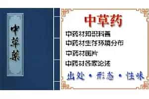 川续断[刺芹儿 山萝卜根]的功效与作用_川续断图片