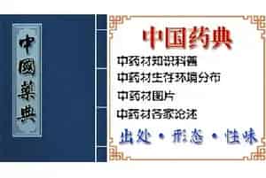 石菖蒲[菖蒲叶 山菖蒲]的功效与作用_中国药典_石菖蒲图片
