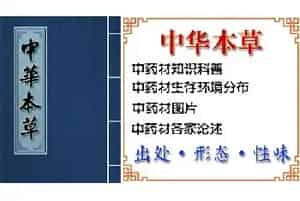 黑老虎[过山风 风沙藤]的功效与作用_中华本草_黑老虎图片