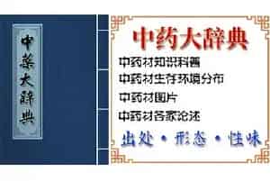 赛番红花[菖蒲莲 红玉帘]的功效与作用_中药大辞典_赛番红花图片